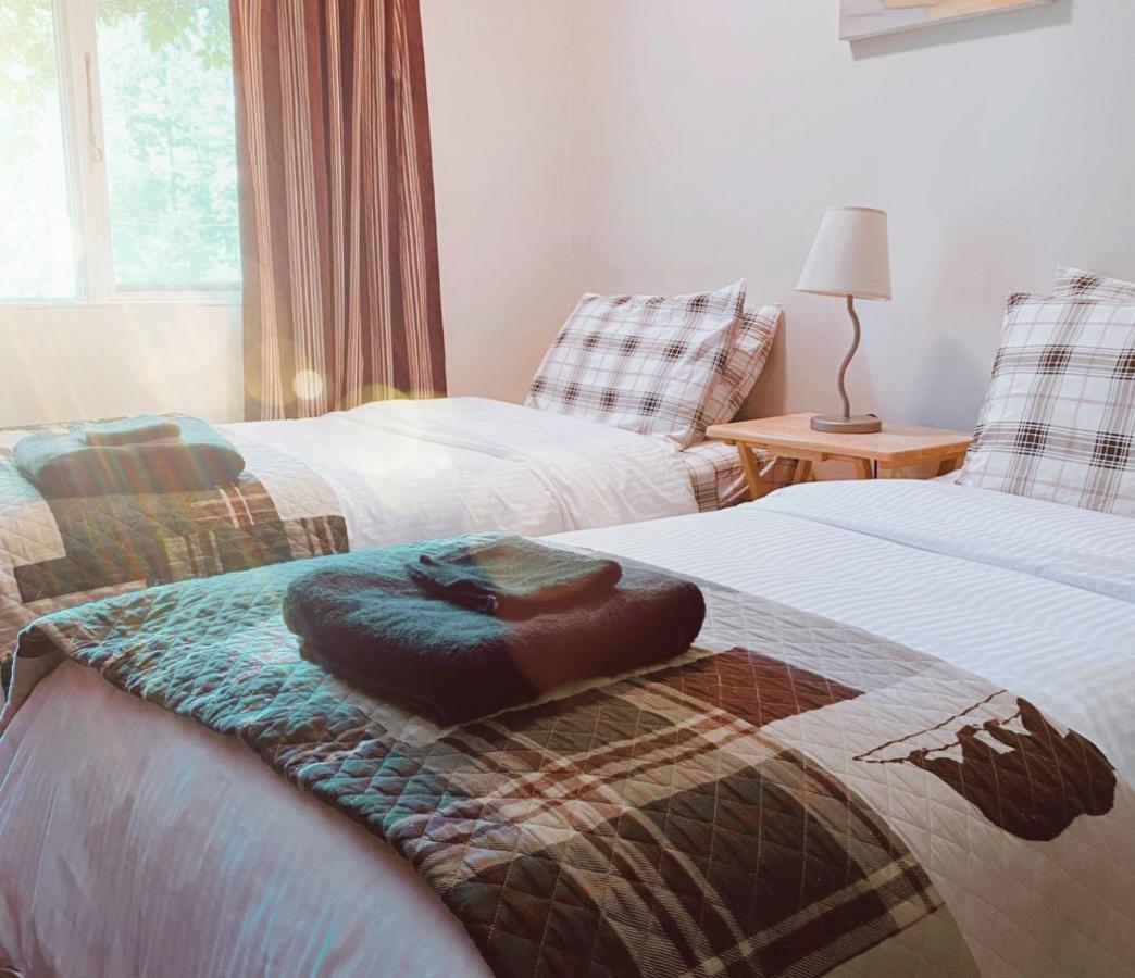 The Messy Owl Inn & Eco Haven Likely Eksteriør bilde