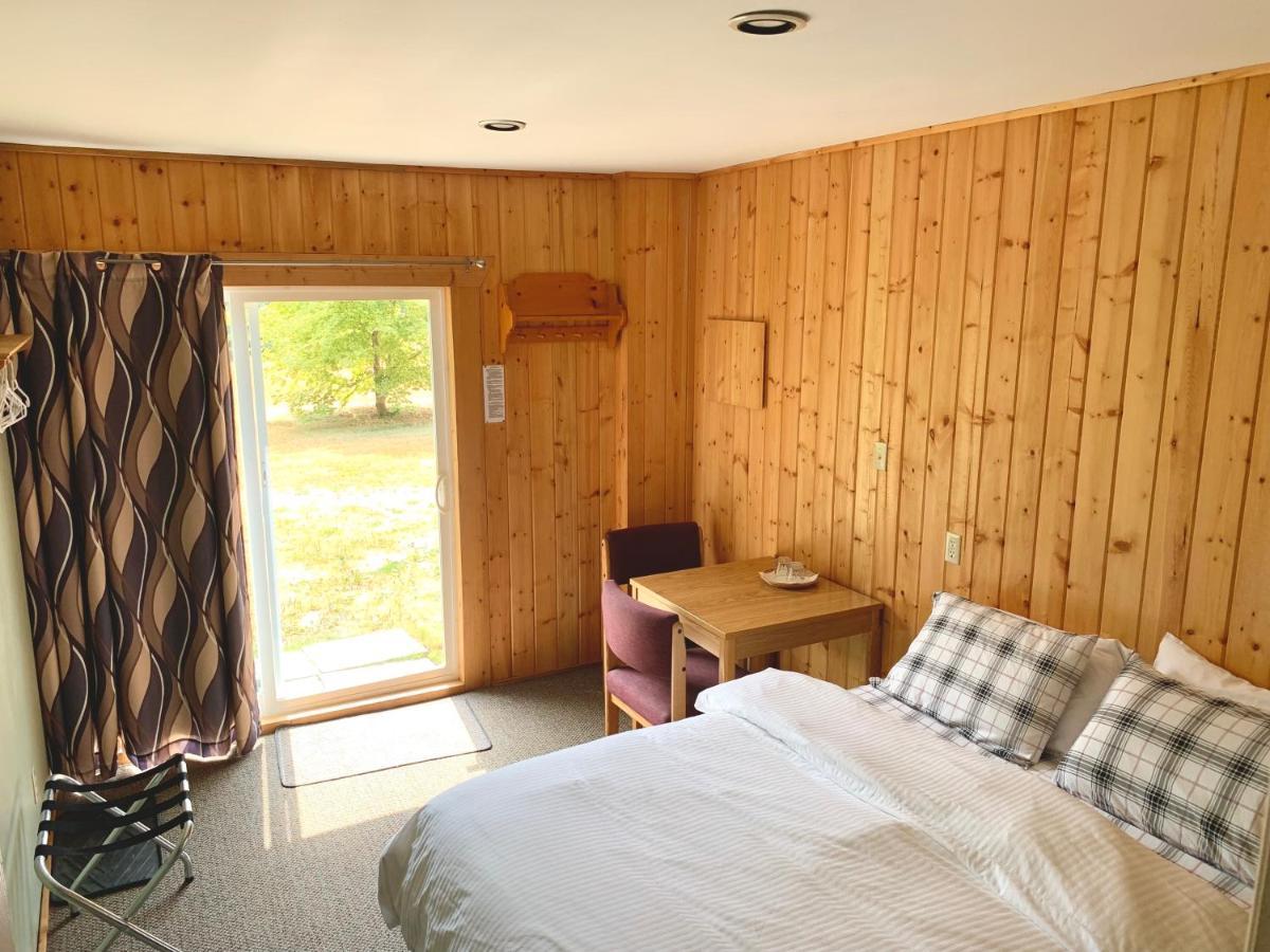 The Messy Owl Inn & Eco Haven Likely Eksteriør bilde