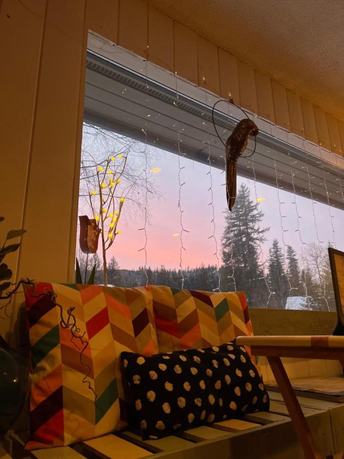 The Messy Owl Inn & Eco Haven Likely Eksteriør bilde